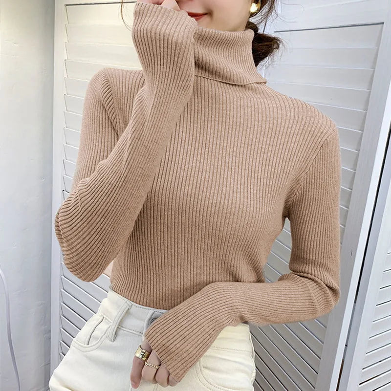 Luxe Knit Turtleneck