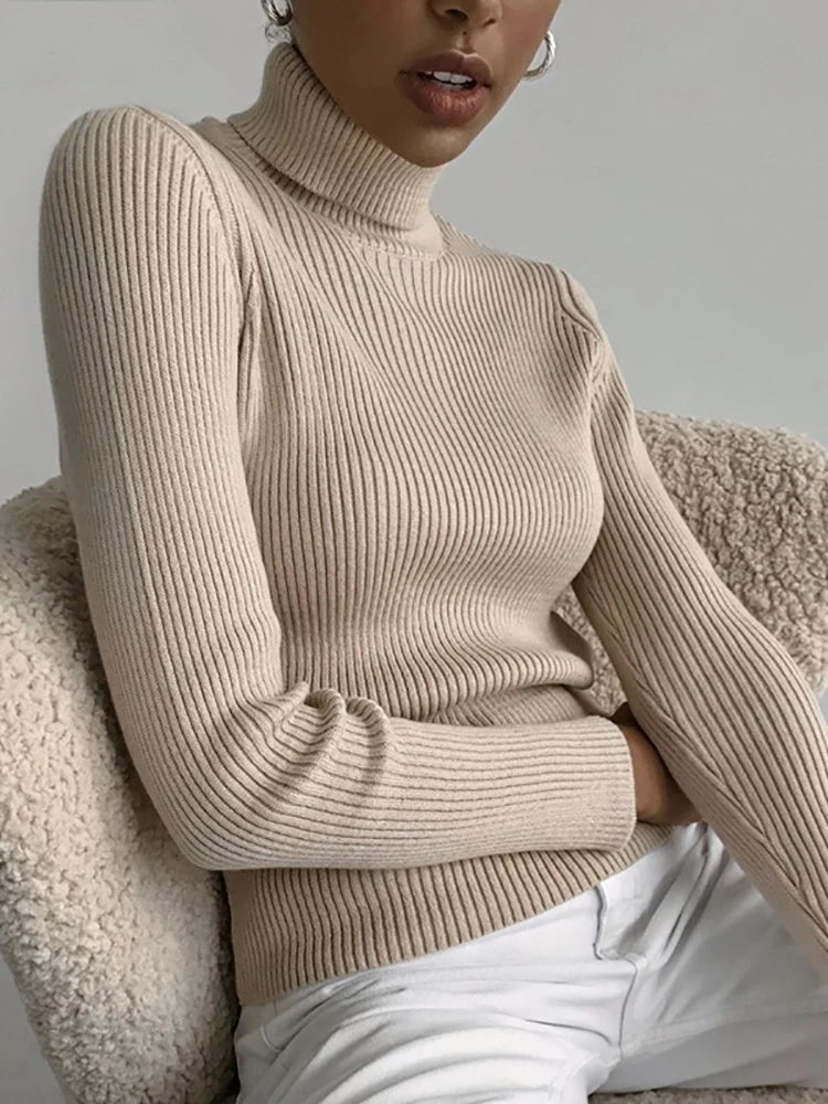 Luxe Knit Turtleneck