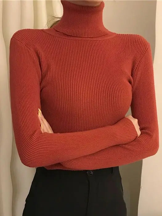 Luxe Knit Turtleneck