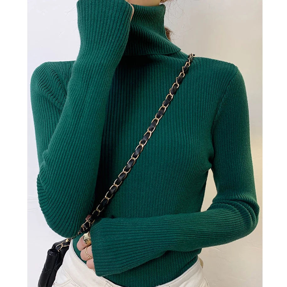 Luxe Knit Turtleneck