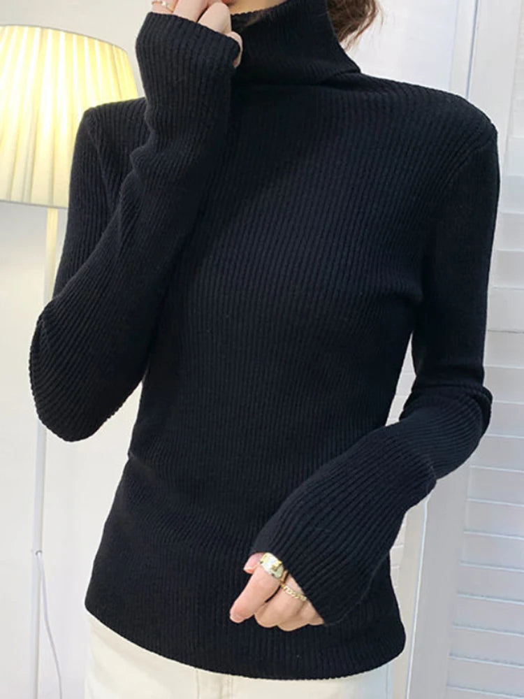 Luxe Knit Turtleneck