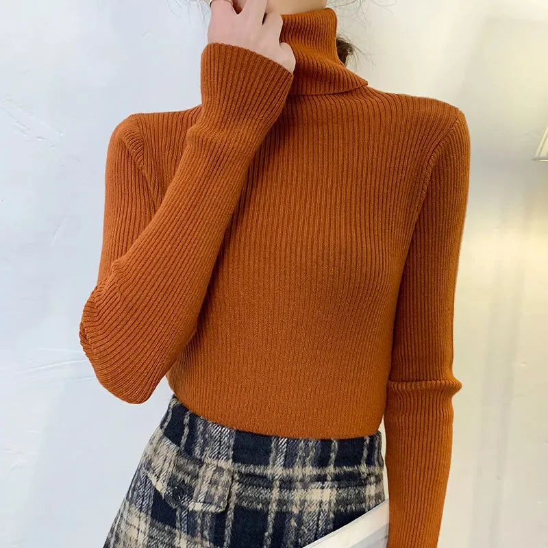Luxe Knit Turtleneck