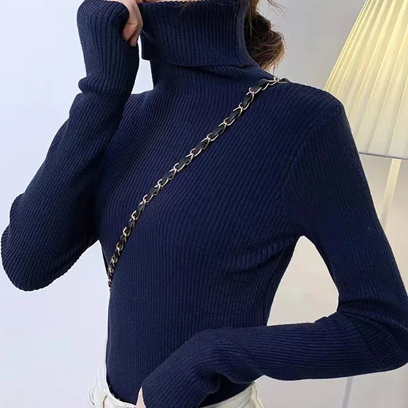 Luxe Knit Turtleneck