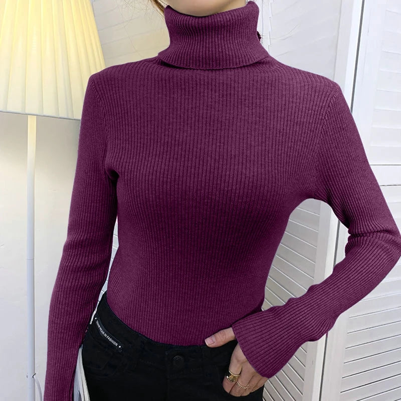 Luxe Knit Turtleneck