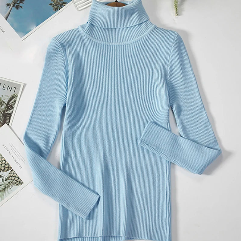 Luxe Knit Turtleneck